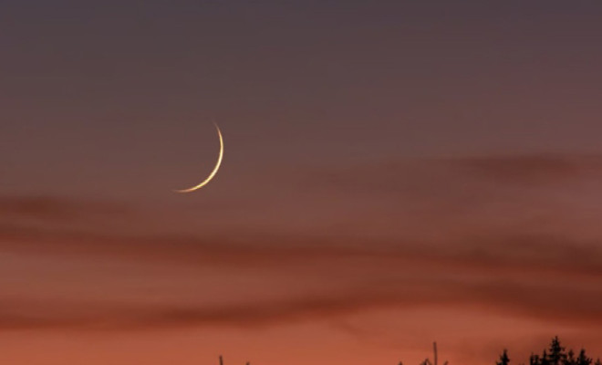 ভুল করে কিছু খেয়ে ফেললেন, রোজা ভেঙে গেল কী